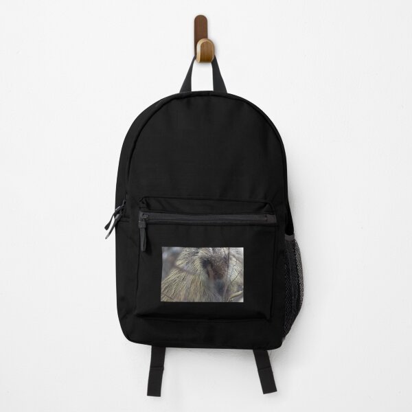 Item preview, New World Porcupine Premium designed and sold by OralieTerry.