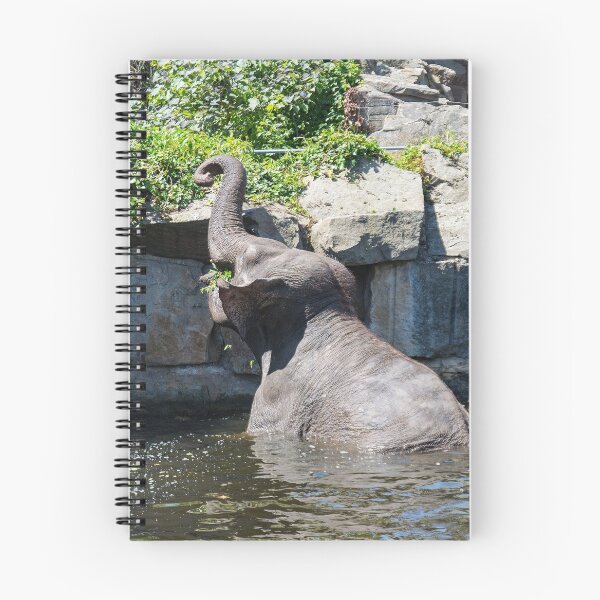 Item preview, Elephant - Having lunch designed and sold by Dagostino.