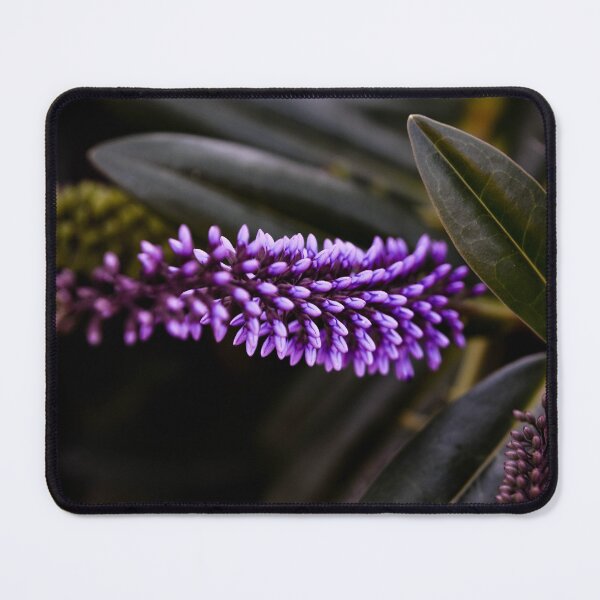 Item preview, Morado designed and sold by ehlphotography.