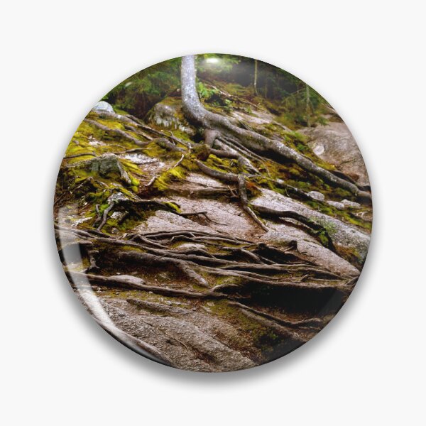 Item preview, Forest designed and sold by ehlphotography.