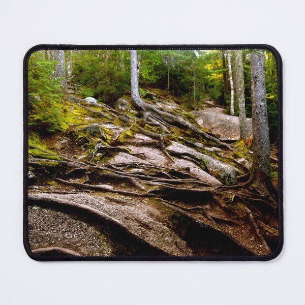 Item preview, Forest designed and sold by ehlphotography.