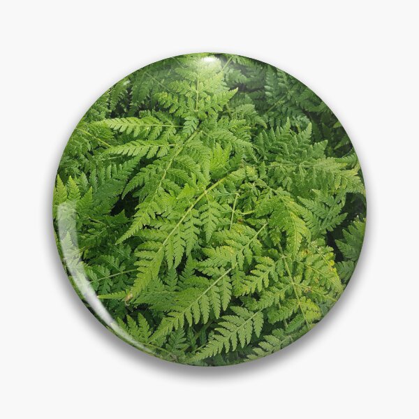 Item preview, Beautiful Green Fern  designed and sold by LinkFamilyStore.