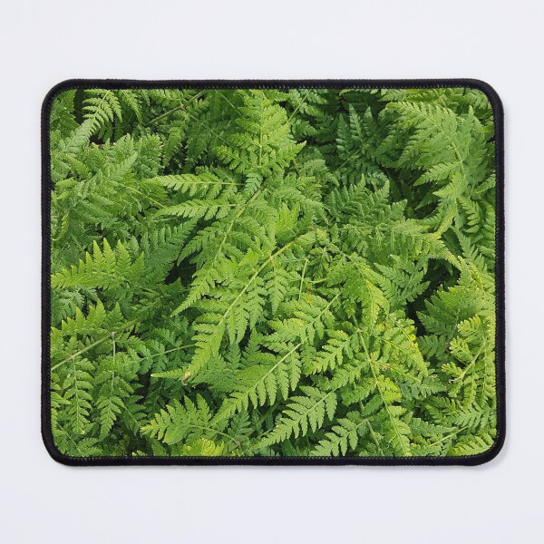 Item preview, Beautiful Green Fern  designed and sold by LinkFamilyStore.