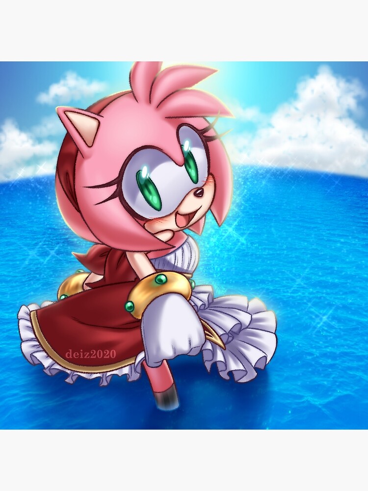 Sonic, Amy Rose, Shadow - Pirate Arts - Drawings & Illustration