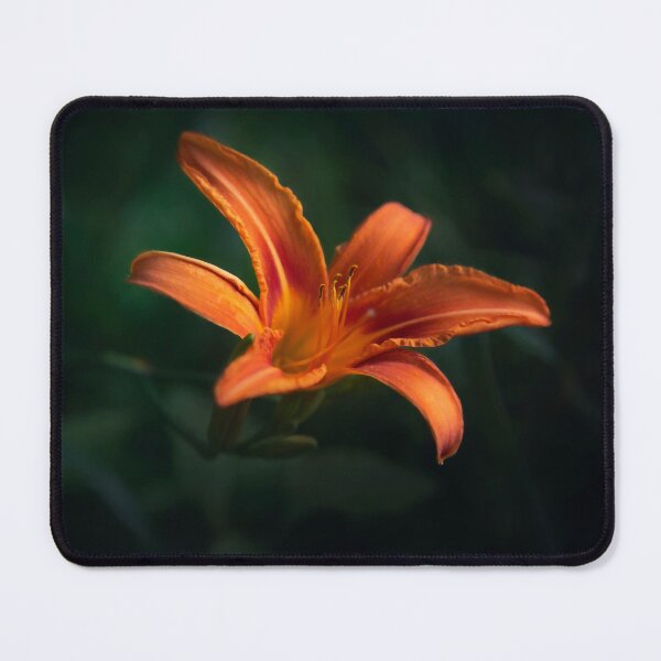 Item preview, Tiger Lily designed and sold by nikartshop.