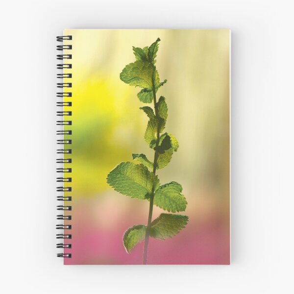 Item preview, planta designed and sold by benjeevan.