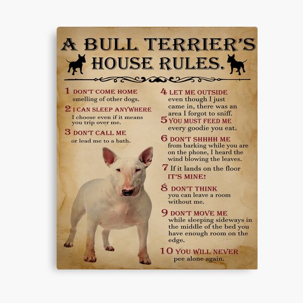 A Bull Terrier's House Rules