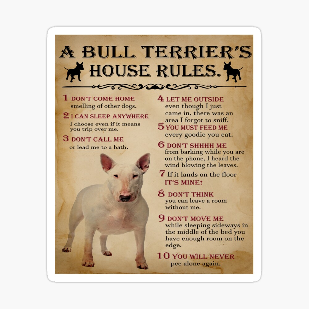 Las reglas de la casa de un bull terrier Póster