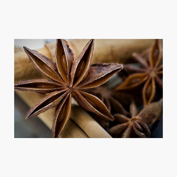 Item preview, Anise designed and sold by Angela McConnell.