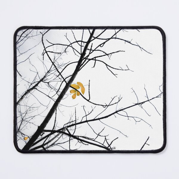 Item preview, Clinging designed and sold by ehlphotography.