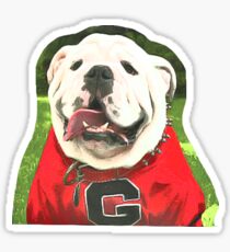 UGA Sticker