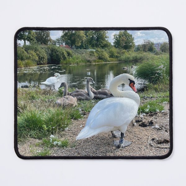 Item preview, Swan Family • Christianshavn • Copenhagen • Denmark designed and sold by Mortinus.
