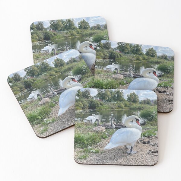 Item preview, Swan Family • Christianshavn • Copenhagen • Denmark designed and sold by Mortinus.