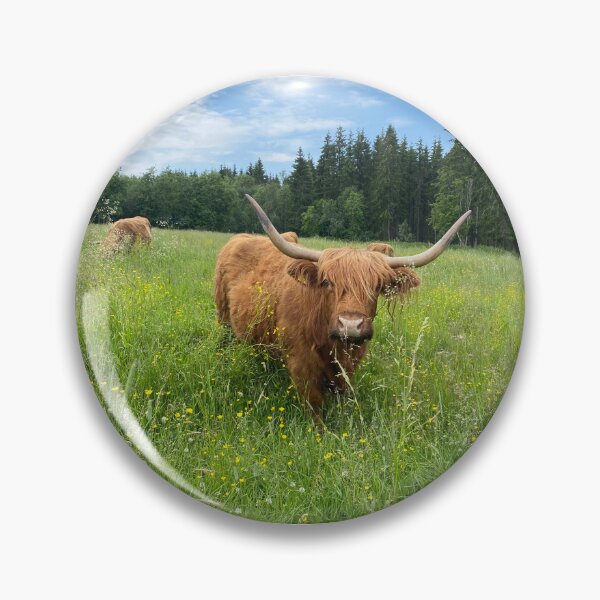 Artikelvorschau, Scottish Highland Cattle Cow 3381 entworfen und verkauft von SaarelaHighland.