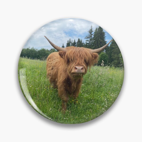 Artikelvorschau, Scottish Highland Cattle Cow 3384 entworfen und verkauft von SaarelaHighland.