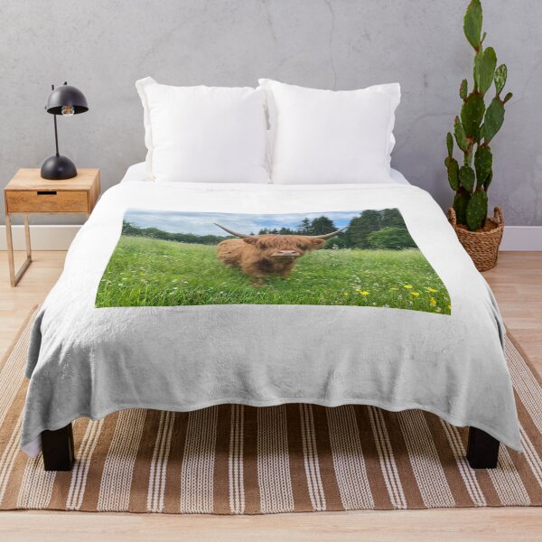 Aperçu de l'œuvre Scottish Highland Cattle Cow 3384 créée et vendue par SaarelaHighland.