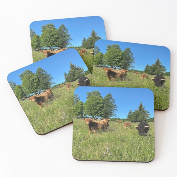 Artikelvorschau, Scottish Highland Cattle Cow 3385 entworfen und verkauft von SaarelaHighland.