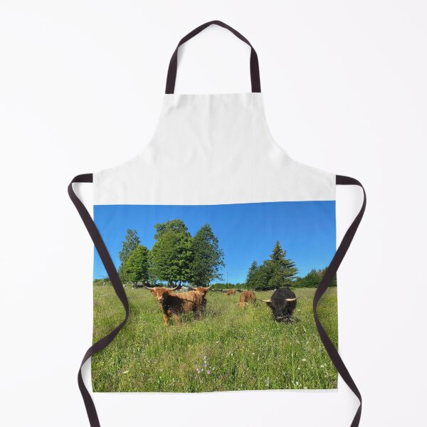 Aperçu de l'œuvre Scottish Highland Cattle Cow 3385 créée et vendue par SaarelaHighland.