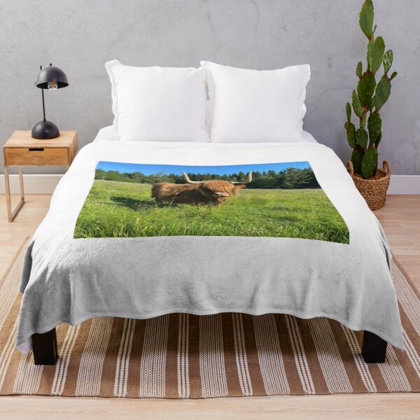 Item preview, Scottish Highland Cattle Cow 3386 designed and sold by SaarelaHighland.