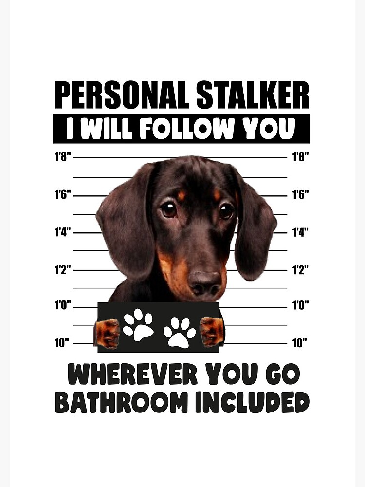 Funny Dachshund Puppy Sayings Personal Stalker Dog Black And Tan