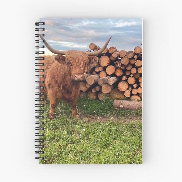 Item preview, Scottish Highland Cattle Cow 3391 designed and sold by SaarelaHighland.