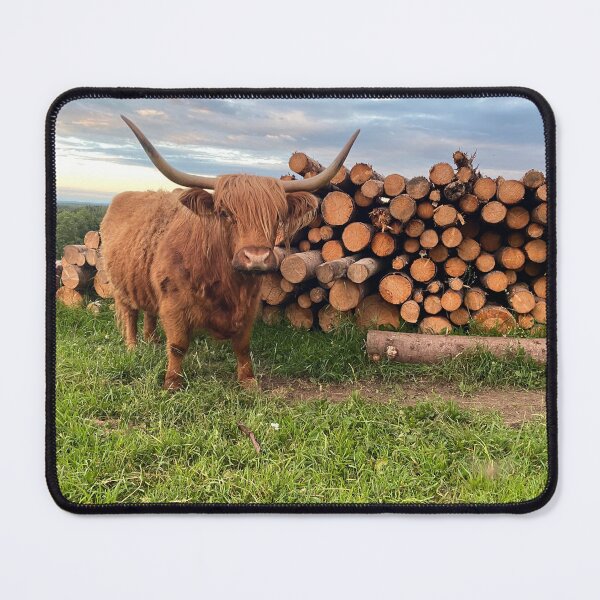 Item preview, Scottish Highland Cattle Cow 3391 designed and sold by SaarelaHighland.