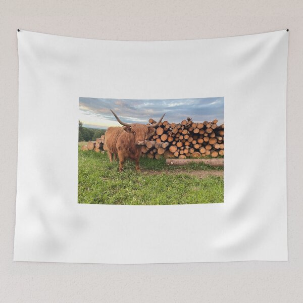 Item preview, Scottish Highland Cattle Cow 3391 designed and sold by SaarelaHighland.