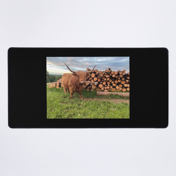 Item preview, Scottish Highland Cattle Cow 3391 designed and sold by SaarelaHighland.