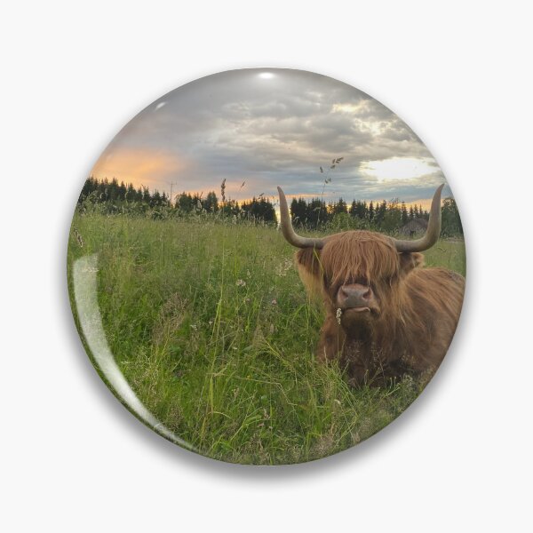 Artikelvorschau, Scottish Highland Cattle Cow 3392 entworfen und verkauft von SaarelaHighland.