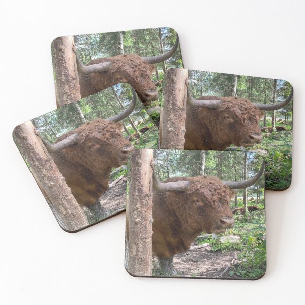Artikelvorschau, Scottish Highland Cattle Bull 3394 entworfen und verkauft von SaarelaHighland.