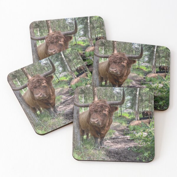 Artikelvorschau, Scottish Highland Cattle Bull 3395 entworfen und verkauft von SaarelaHighland.