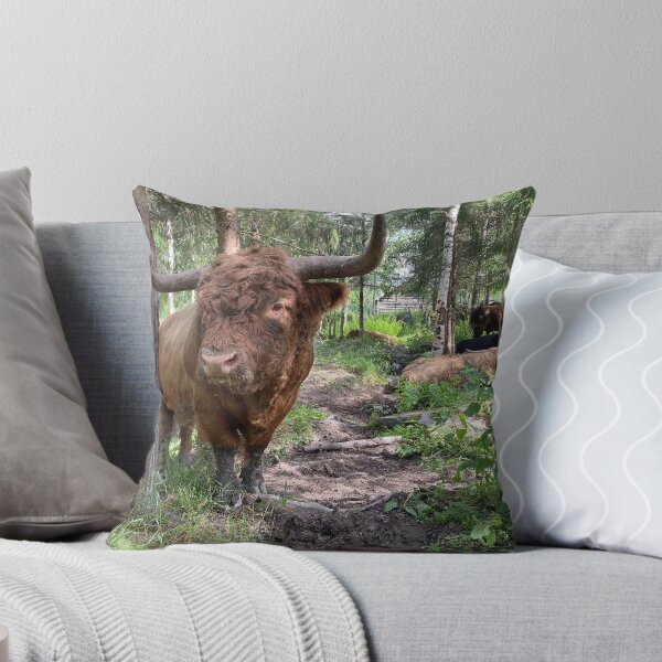 Artikelvorschau, Scottish Highland Cattle Bull 3395 entworfen und verkauft von SaarelaHighland.