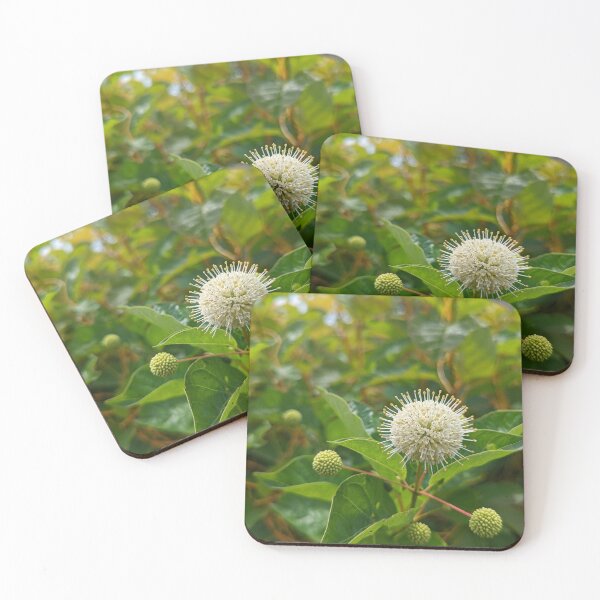 Item preview, Button Bush designed and sold by Jkund19.
