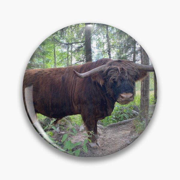 Item preview, Scottish Highland Cattle Bull 3396 designed and sold by SaarelaHighland.
