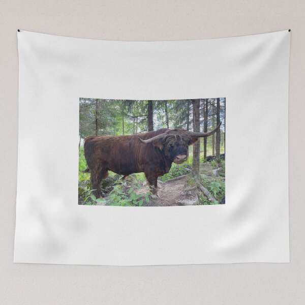 Item preview, Scottish Highland Cattle Bull 3396 designed and sold by SaarelaHighland.