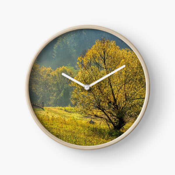 yellow tree in front of spruce forest in fog Clock