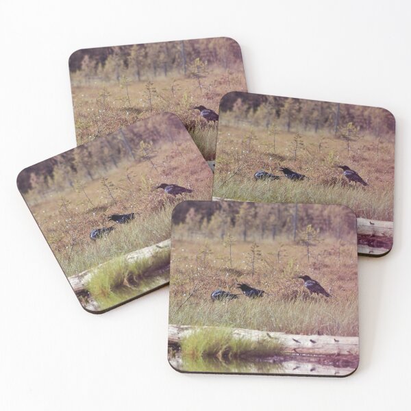 Item preview, Raven trio designed and sold by Jouko Lehto Photography.