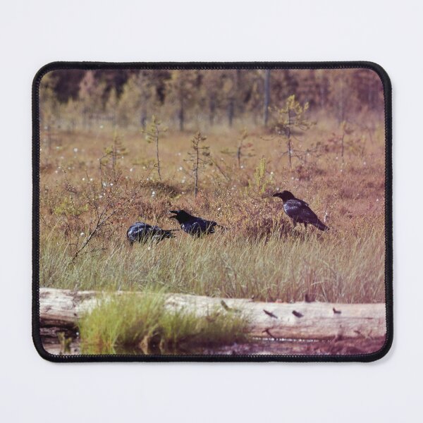 Item preview, trío de cuervos designed and sold by Jouko Lehto Photography.