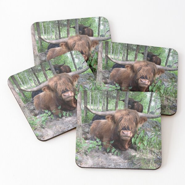 Item preview, Scottish Highland Cattle Bull 3397 designed and sold by SaarelaHighland.