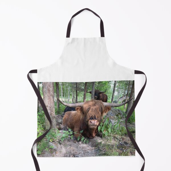 Aperçu de l'œuvre Scottish Highland Cattle Bull 3397 créée et vendue par SaarelaHighland.