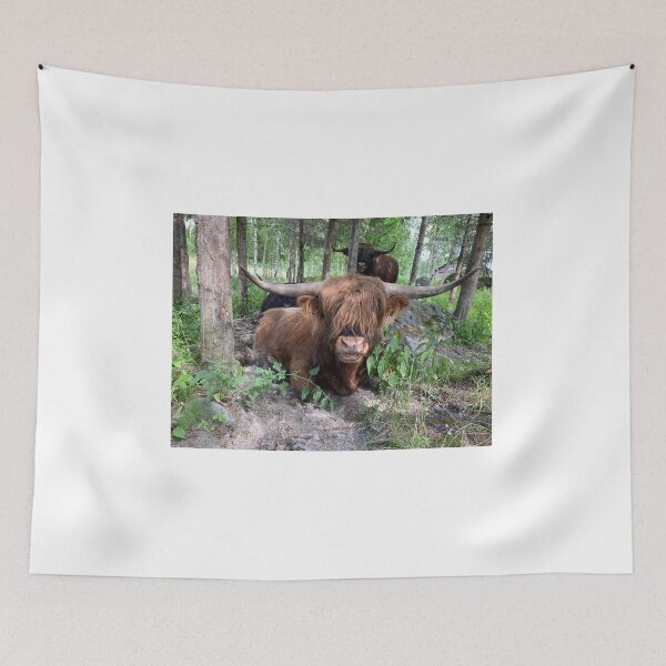 Item preview, Scottish Highland Cattle Bull 3397 designed and sold by SaarelaHighland.