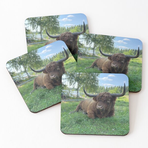 Artikelvorschau, Scottish Highland Cattle Bull with big horns 3399 entworfen und verkauft von SaarelaHighland.