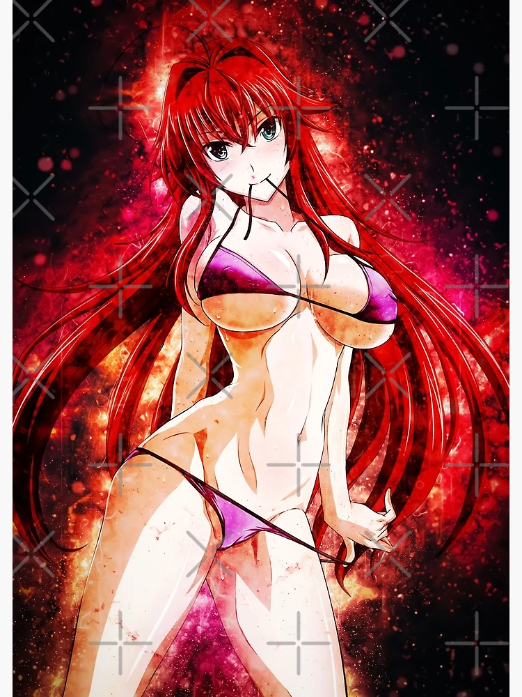 Rias Gremory  Highschool dxd, Anime high school, Dxd