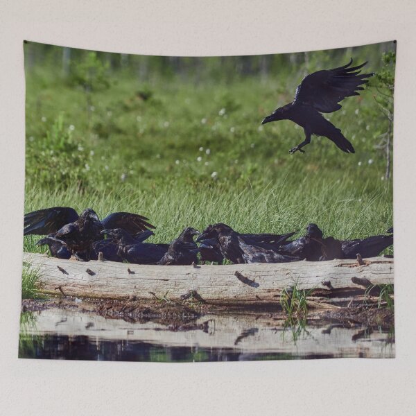 Item preview, Ravenmeet designed and sold by Jouko Lehto Photography.