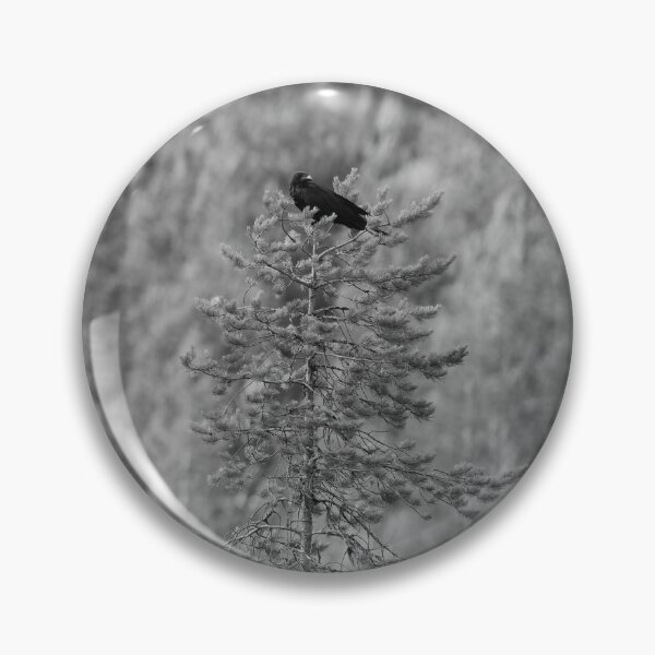 Item preview, The guardian of the flock. Raven bw designed and sold by Jouko Lehto Photography.