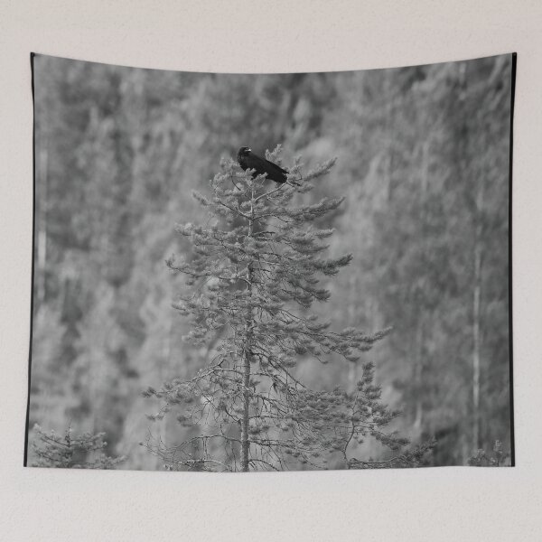 Item preview, The guardian of the flock. Raven bw designed and sold by Jouko Lehto Photography.
