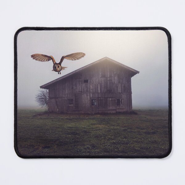Item preview, Barn Owl designed and sold by nikartshop.