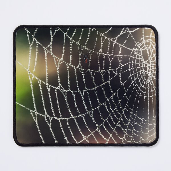 Item preview, Spider on Web designed and sold by nikartshop.