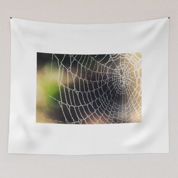 Item preview, Spider on Web designed and sold by nikartshop.