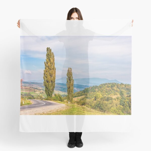 trees on a hill side near the mountain road Scarf